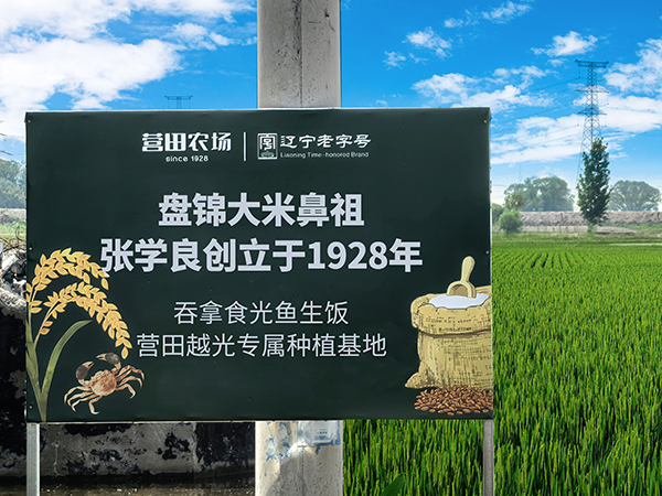 盤錦營田米業(yè)有限公司